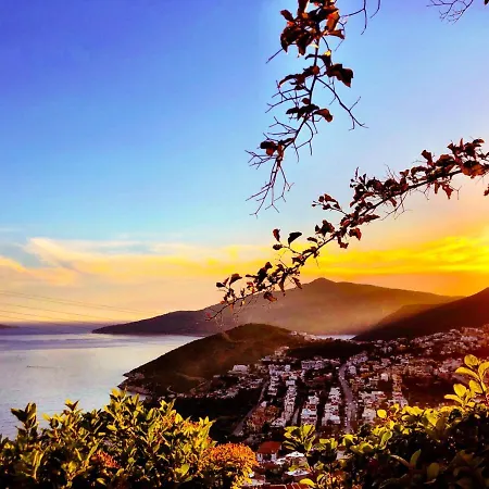 فالو كالكان