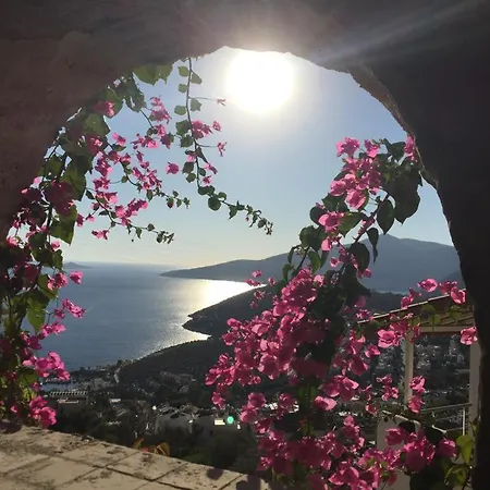 Valo Kalkan