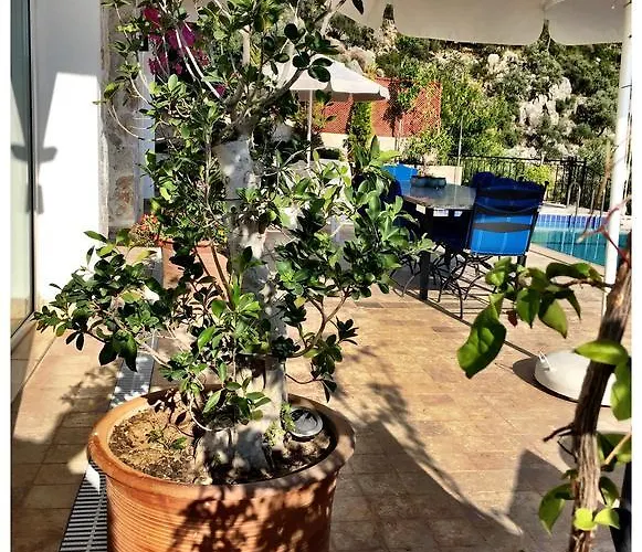 别墅 Valo 卡尔坎