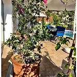 Vila Valo Kalkan