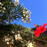 Vila Valo *