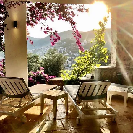 Valo * Kalkan