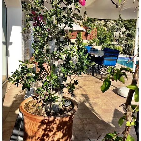 Vilă Valo Kalkan